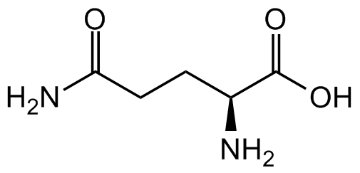 Image of molecular structure of L-Glutamine