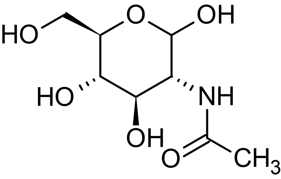 Image of molecular structure of N-Acetyl-D-Glucosamine.