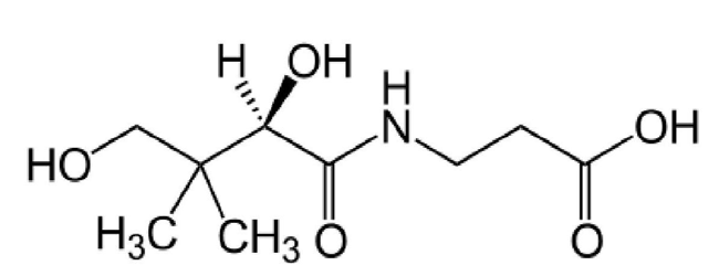 Image of the molecular structure of pantothenic acid.