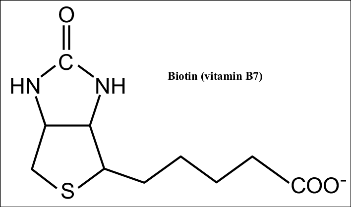 Image of Vitamin B7 molecular structure.