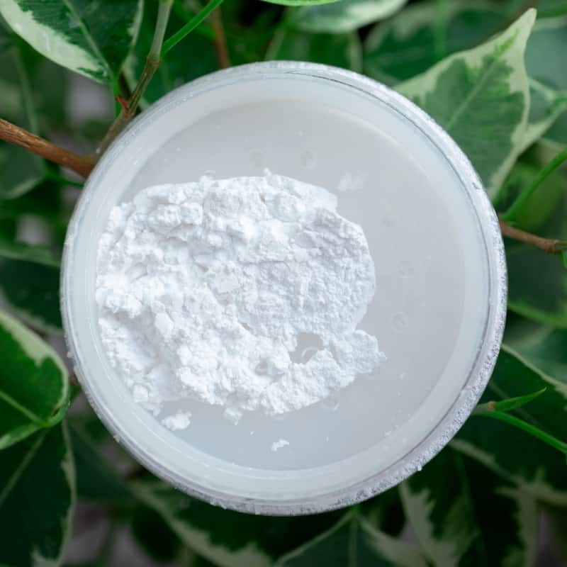 Image of fine white powder in a petrie dish.